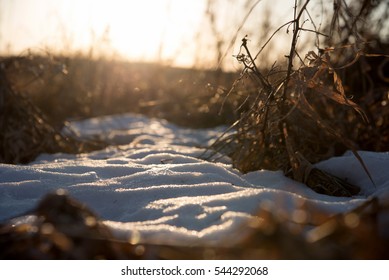 Ground Level View Of Patch Of Snow With Sunset In Background And Prairie Grass Blowing In Wind - Soft Focus, Blurred Background