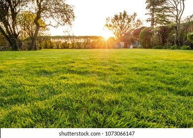 Ground level view of a well maintained and  recently cut lawn seen within a large garden just before sunset. Golden light is seen streaming in from a distant hedge in early summer. - Shutterstock ID 1073066147