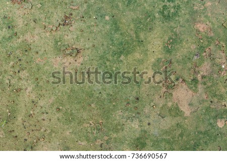 Ground with moss texture. Seamless texture on sand stone ground texture.