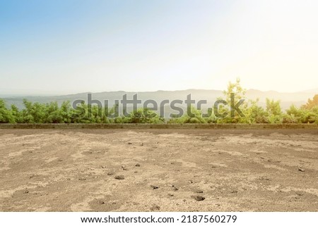 The ground in the park with landscape and a blue sky background