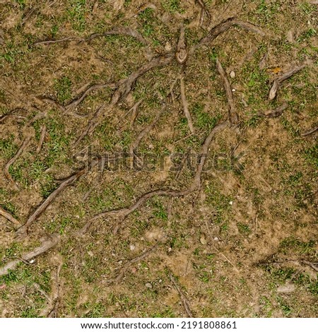 Ground pattern with patchy grass pattern texture