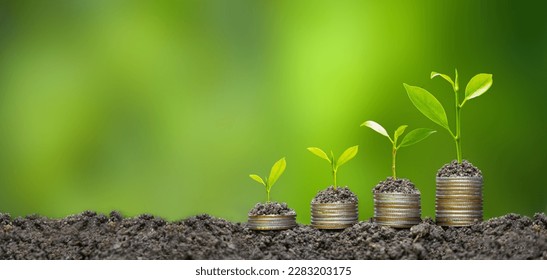 The ground plants grow on coins. The production of renewable energy is essential for the future. The green business that uses renewable energy can limit climate change. Environmental business.
