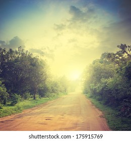 Ground Road And Bush With Savanna Landscape Background