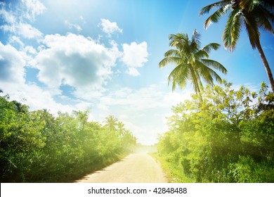 Ground Road In Jungle. Dominican Republic