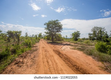Ground Texture ,