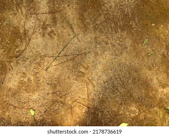 Ground Texture Macro Photography Pattern Background.