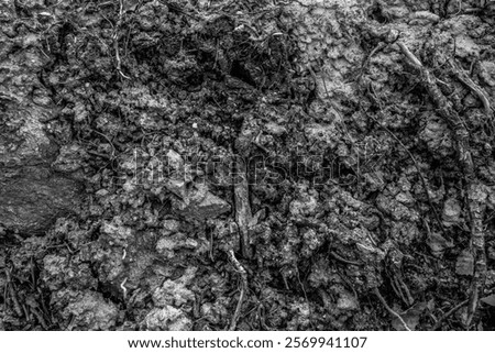 Ground texture material top view, clay and mud.