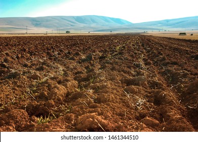 Ground tillage with seeder, plow and seeding at wide fertile plain. - Shutterstock ID 1461344510