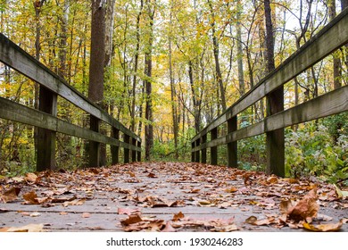 Ground View Of Wood Foot Bridge