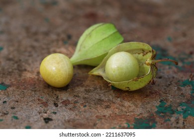 Groundcherry Aka Cape Gooseberry Fruits And Its Papery Husk 