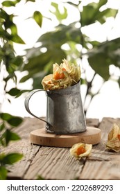 Groundcherry Or Physalis In Rustic Can On Wooden Table