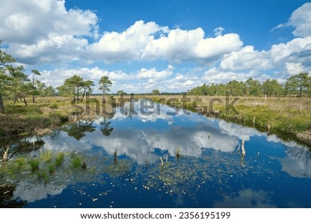 Groundless moor in Lower Saxony. Nature reserve with a moor landscape. Sky in lake, Windows wallpapers, Regenerationrehydration area of the Venner Moor bog, Osnabrueck-Land, Lower Saxony, Germany