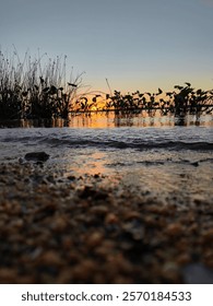 A ground-level view of small pebbles on the sand where the water meets the shore. Some vegetation in the water, a sunset on the horizon reflecting on the calm surface. 