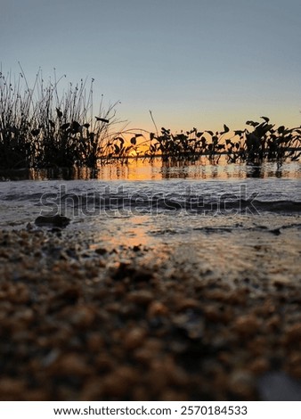 A ground-level view of small pebbles on the sand where the water meets the shore. Some vegetation in the water, a sunset on the horizon reflecting on the calm surface. 