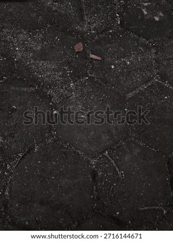 Ground-level view of stillness and simplicity