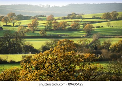 The Grounds Of A Country Estate