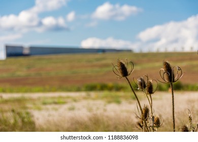 Grounds At Flight 93 National Memorial