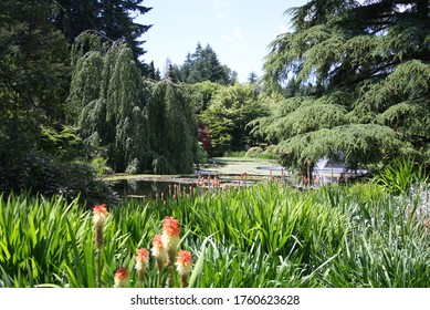 Grounds At Vandusen Botanical Garden