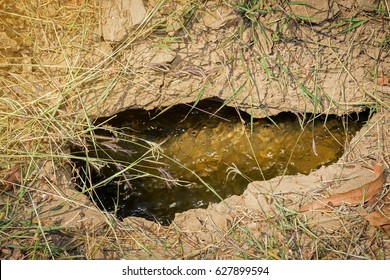 Groundwater, Source Of Spring