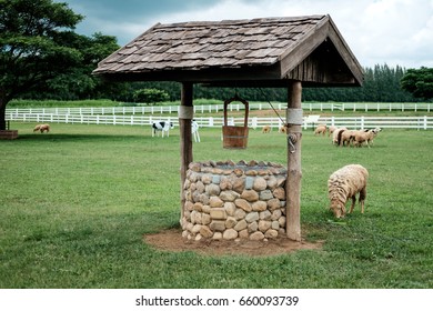 Groundwater Well In In Sheep Farm