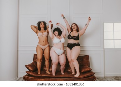 Group of 3 oversize women posing in studio - Beautiful girls accepting body imperfection, beauty shots in studio - Concepts about body acceptance, body positivity and diversity