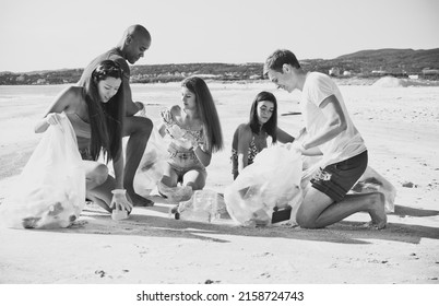 Group Of Activists Friends Collecting Plastic Waste On The Beach. People Cleaning The Beach Up, With Bags. Concept About Environmental Conservation And Ocean Pollution Problems