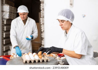 group of adult highly skilled workers carry out quality control on eggs in chicken farm - Shutterstock ID 2395148009