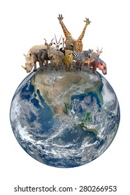 group of africa animal with planet earth, Element of this image are furnished by NASA