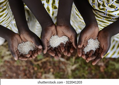 Group of African Black Children Holding Rice Malnutrition Starvation Hunger. Starving Hunger Symbol. Black African girls holding rice as a malnutrition symbol. 
