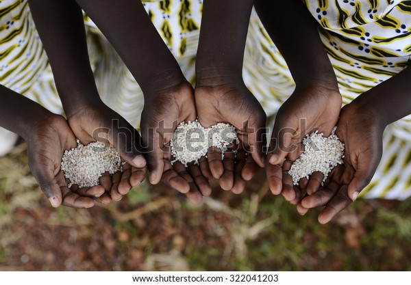 Group of African Black Children\
Holding Rice Malnutrition Starvation Hunger. Starving Hunger\
Symbol. Black African girls holding rice as a malnutrition symbol.\
