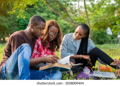 Group Of African University Students Studying Outdoor Together