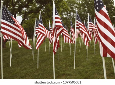 Group Of American Flags In Haymarket, Virginia On Memorial Day