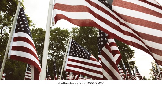 Group Of American Flags In Haymarket, Virginia On Memorial Day