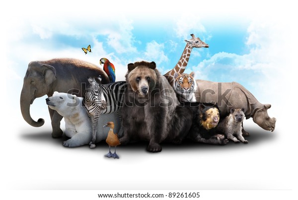 A group of animals are grouped
together on a white background. Animals range from an elephant,
zebra, bear and rhino. Use it for a zoo or friends
concept.