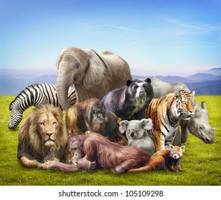 Group Of Animals On Grass