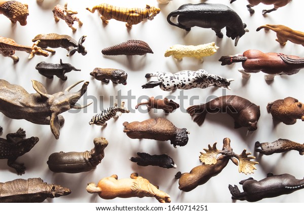 Group of animals toys isolated over white\
background. animals toys.