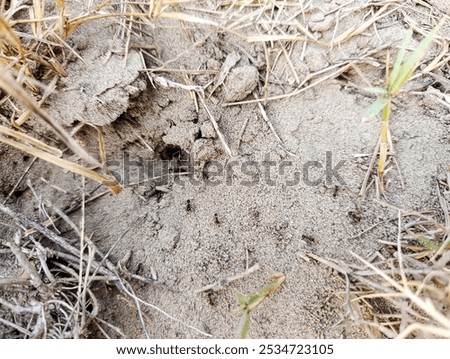 Similar – Image, Stock Photo Nested Industrial plant