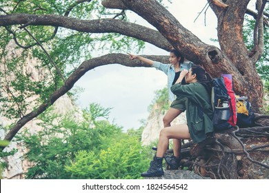 Group Asia women hiker with backpack on big tree checks map to find directions and look binoculars in wilderness area forest.  People teamwork climb up and pointing in mountains