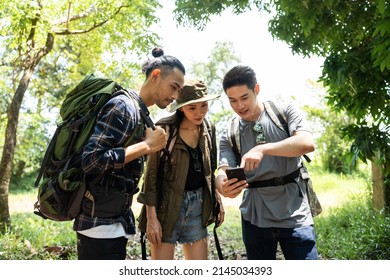 Group Of Asian Backpacker People Using Phone Travel In Forest Together. Attractive Man And Woman Friends Use Smartphone While Explore Nature Wood With Happiness During Holiday Vacation Trip On Summer.