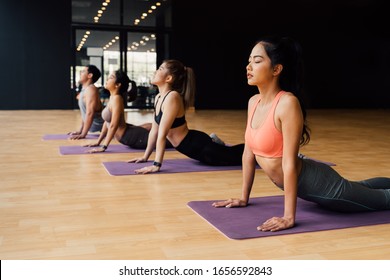 Group of Asian fitness people doing yoga upward facing dog pose on mats at yoga studio. Young women and man exercising at fitness center