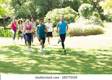 Group of athletes running on grassy land in park - Powered by Shutterstock