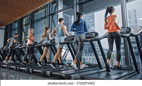 Group of Athletic People Running on Treadmills, Doing Fitness Exercise. Athletic and Muscular Women and Men Actively Training in the Modern Gym. Sports People Workout in Fitness Club. - Powered by Shutterstock