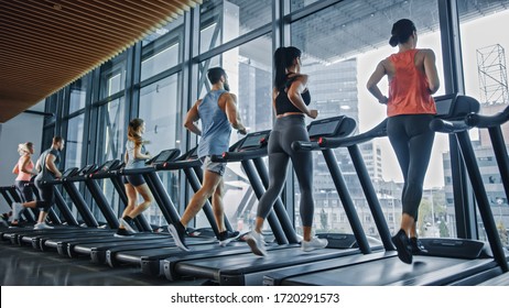 Group of Athletic People Running on Treadmills, Doing Fitness Exercise. Athletic and Muscular Women and Men Actively Workout in the Modern Gym. Sports People Workout in Fitness Club. Side View