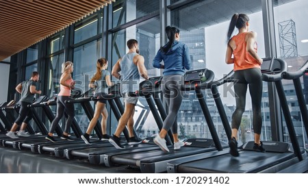 Group of Athletic People Running on Treadmills, Doing Fitness Exercise. Athletic and Muscular Women and Men Actively Training in the Modern Gym. Sports People Workout in Fitness Club.