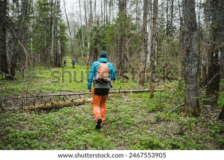 Group of backpackers navigating through a lush green forest path in early spring, wearing vibrant outdoor gear and enjoying nature's beauty. Perfect for adventure and outdoor concepts.