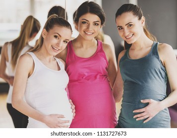 Group of Beautiful Pregnant Women Standing on Wooden Floor in Gym. Healthy Parenthood Lifestyle. Indoor Sports and Fitness. Pregnancy and Motherhood Concepts. Mother Expecting Baby Concept.