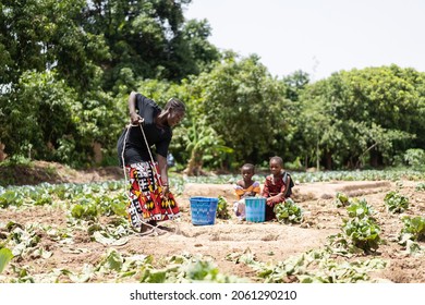 Group Of Black Girls Collecting Water From A Rural Watering Hole In West Africa; Concept Of Water Scarcity