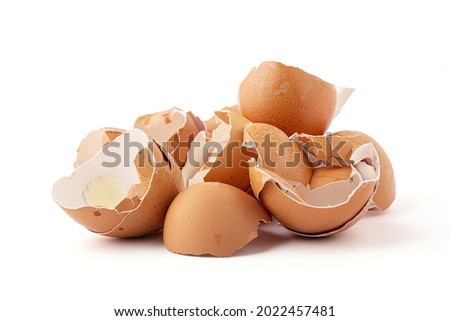 Group of broken eggshells stacked isolated on a white background. Eggshells are oval, brown, brittle and thin, easily broken.