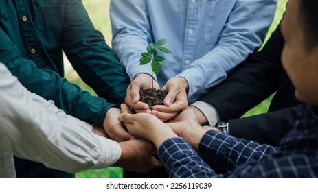 Group of business hands holding young plant on blur green nature background.World environment day. Global community teamwork.Volunteer charity work. - Shutterstock ID 2256119039