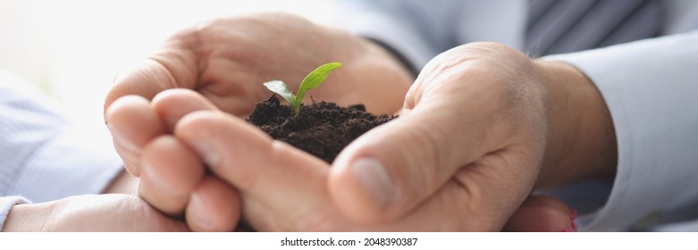 Group Of Business People Holding Earth With Small Green Plant In Their Hands Closeup